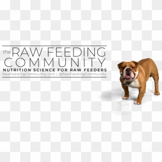 Raw Feeding Clipart