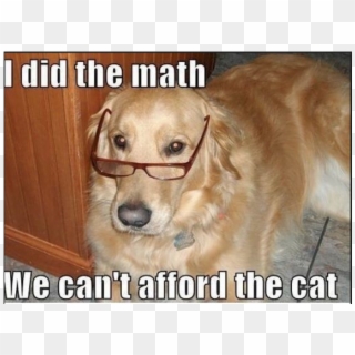 Yes, This Is Dog - Cute Golden Retriever Memes Clipart