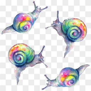 Rainbow Snail Png - Rainbow Snails Clipart