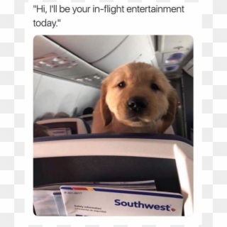 Author Cleanmemesposted On April 8, 2019 February 10, - Can You Stop Kicking My Seat Clipart