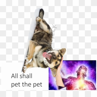 I Made This Low Effort Meme, Not Sure If I'm Proud - Dog Yawns Clipart