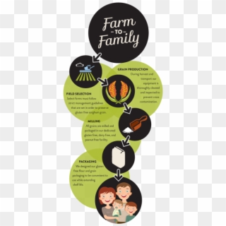 Gluten Free Farm To Family - Flyer Clipart