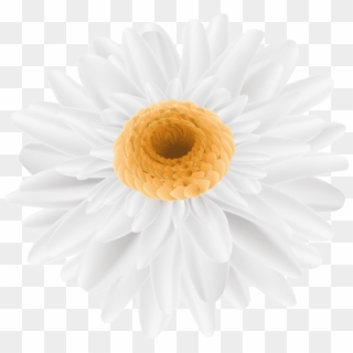 Free Png Download Flower White Transparent Png Images - Sunflower Color Drawing Clipart