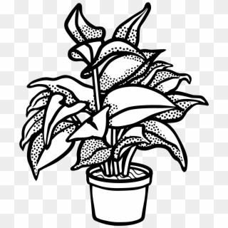Plant Drawing Black And White At Getdrawings - Plants Clip Art Black And White - Png Download