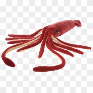 Squid Png Free Download - Squid Soft Toy Clipart