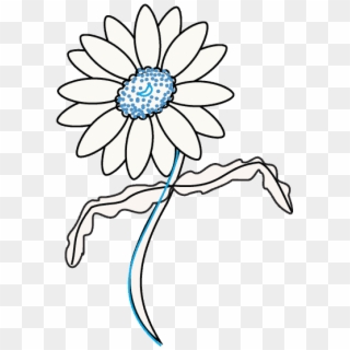 Petal Drawing Advanced - Daisy Flower Drawing Clipart