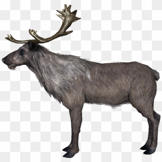 Deer - Skyrim Deer Clipart