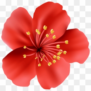 Free Png Download Red Flower Png Images Background - Hawaiian Hibiscus Clipart
