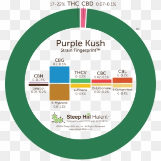 Marijuana Purple Kush Strain Review - Purple Kush Effects Clipart
