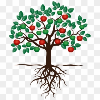 Fruit Tree Drawing Apple Root - Fruit Tree With Roots Clipart