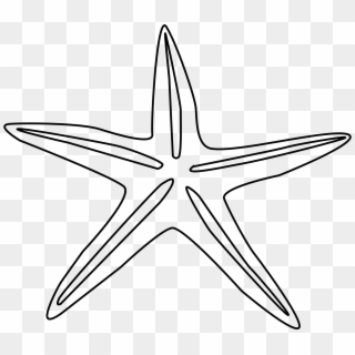 Png Starfish Black And White Transparent Starfish Black - Starfish Drawing Black And White Clipart
