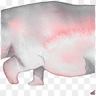 Hippopotamus , Png Download - Hippopotamus Clipart