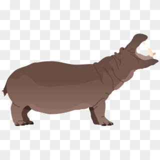 Hippopotamus Poster - Indian Rhinoceros Clipart