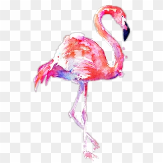 #scflamingos #flamingos #stickers #edit #edits #png - Transparent Background Flamingo Png Clipart