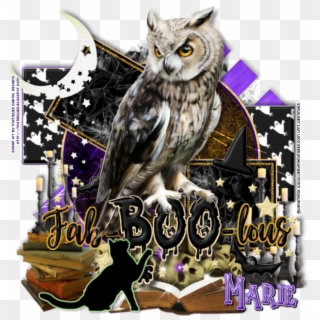 Faboolous - Western Screech Owl Clipart