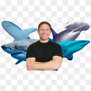 Shark Bites - Steve Backshall Shark Bite Clipart