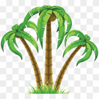 Svg Transparent Stock Palms Vector Summer - Palm Trees Cliparts - Png Download