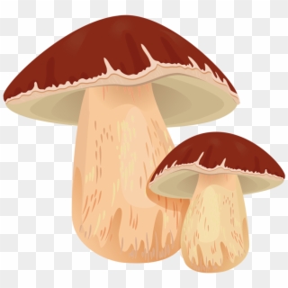 Drawing Mushrooms Shiitake Mushroom - Mushroom Clipart