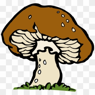 Mushrooms Vector Mushroom Clipart - Mushroom Clip Art - Png Download