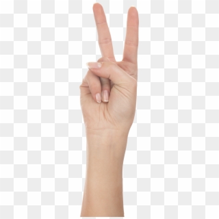 Two Hands Png - Thumb Clipart