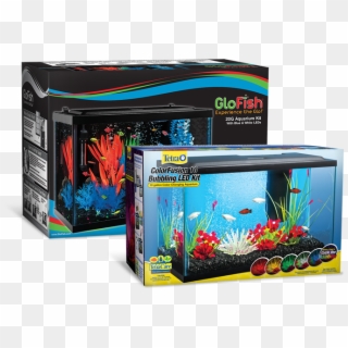 Aquarium Kits Make Setting Up Quick And Easy Also, - 10 Gallon Glofish Tetra Tank Clipart