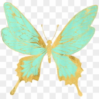#butterflies #butterfly #pastel #mintgreen #gold #golden - Papilio Clipart