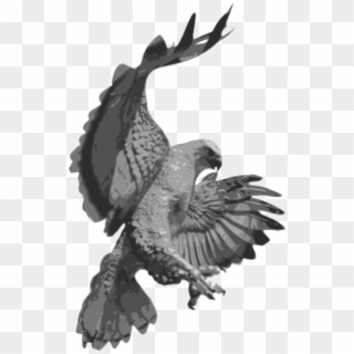 Falcon Clipart Blackhawk - Transparent Crow Flying Cartoon - Png Download