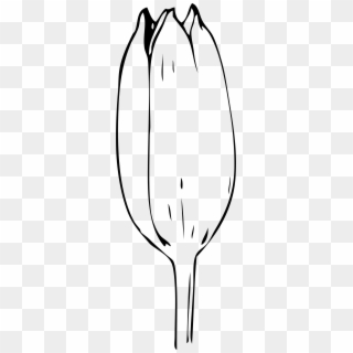 This Free Icons Png Design Of Tulip Bud - Bud Black And White Clipart