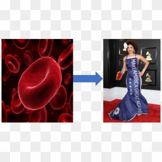 Red Blood To Red Carpet - Gown Clipart