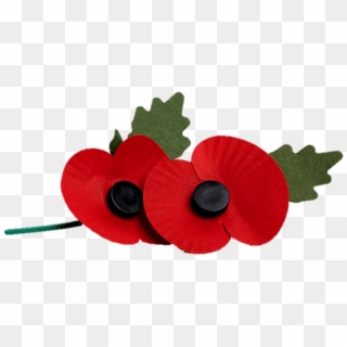 Poppy Appeal Png - Clip Art Rememberance Poppy Transparent Png