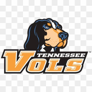 Because Of A Recommendation From Staff At Utc, The - Tennessee Volunteers Basketball Logo Clipart