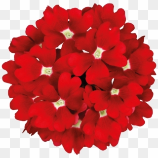 Temari Patio Red - Floral Design Clipart