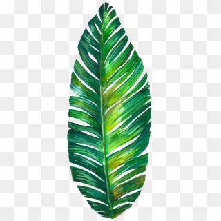 Palm Leaf Watercolor Png Clipart