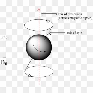 Image004 - Spin De Un Proton Clipart