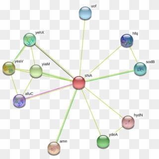 Circle Clipart