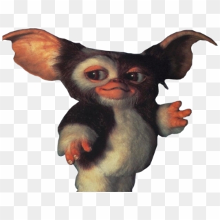 Gizmo Png - Gremlins Before They Change Clipart
