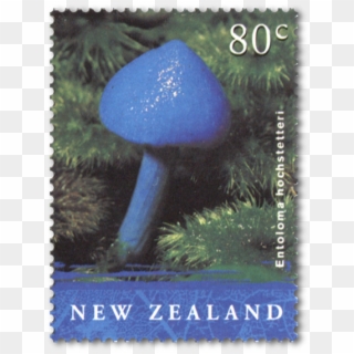 Single Stamp - Werewere-kokako Clipart