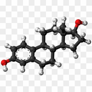 Estradiol - Estradiol Model Clipart