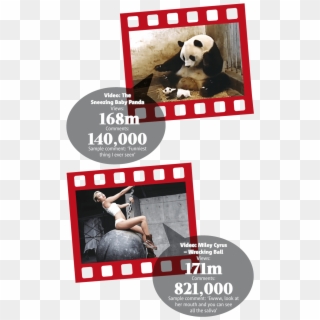 0110 Youtube Part - Panda Clipart