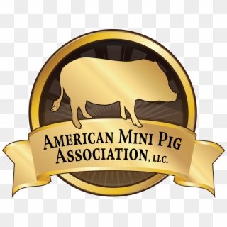Baby Mini Pig Transparent Clipart