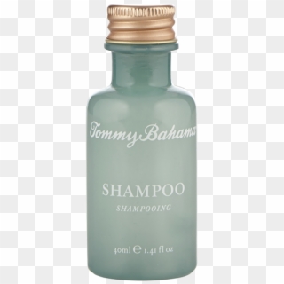 Tommy Bahama Shave Kit - Tommy Bahama Shampoo Clipart