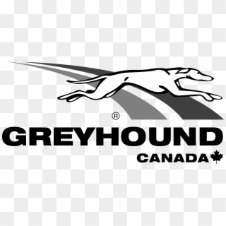 Greyhound Canada Logo Png Transparent - Greyhound Logo Png Clipart