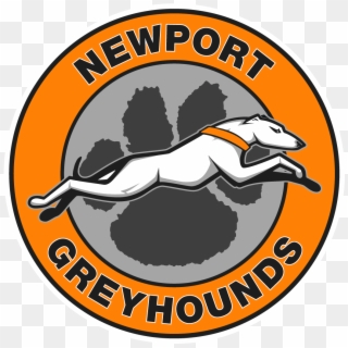 Newport School District Home Of The Greyhounds - Newport School District Clipart