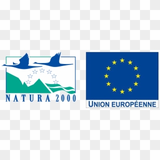 Logo S N2000 - Natura 2000 Clipart