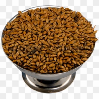 Uk Amber Malt - Barley Clipart