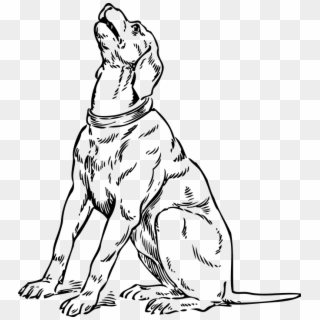 Dog Canine Howl Barking Pet Hound Retriever - Dog Looking Up Drawing Clipart