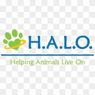 Halo Logo Color - Graphic Design Clipart