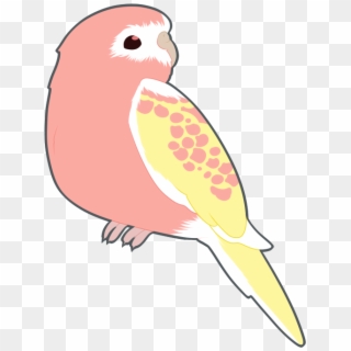 Bird In This Style - Parrot Transparent Clipart