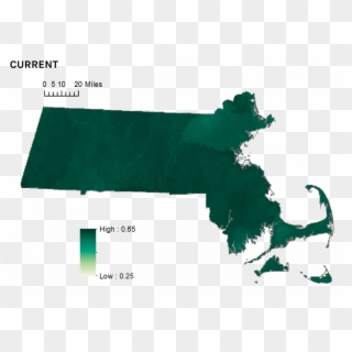 Current Climate Suitability For Ovenbird In Massachusetts - Marijuana Legalization Massachusetts Clipart