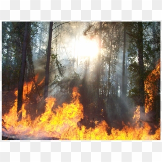 Fuel Science - Landscape Fire Clipart